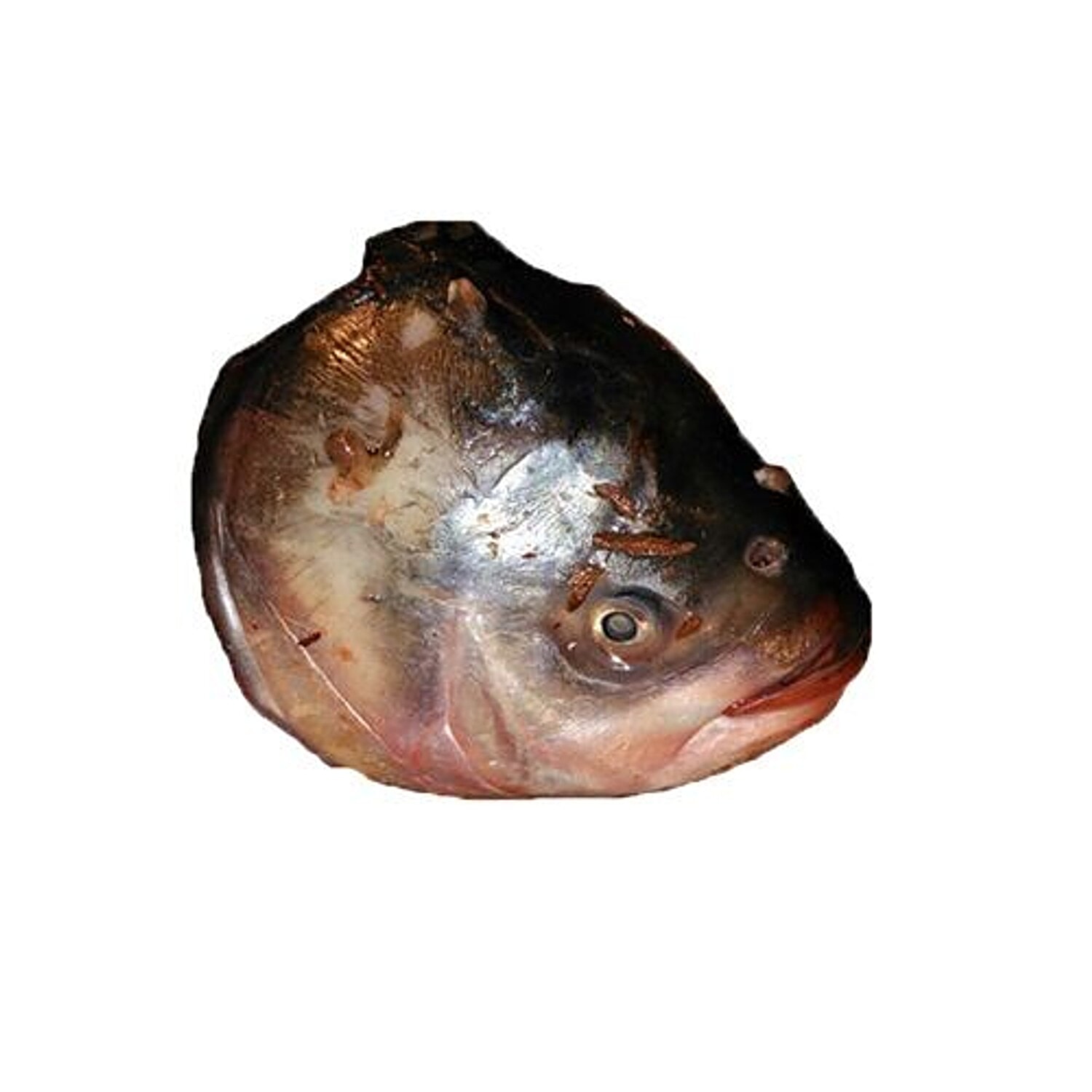 Item